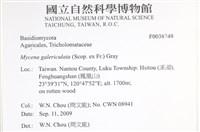 登錄號:F0038749藏品圖，第2張