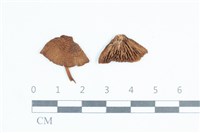 登錄號:F0038749藏品圖，第1張