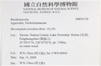 登錄號:F0038750藏品圖，第2張