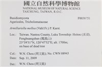 登錄號:F0038751藏品圖，第2張