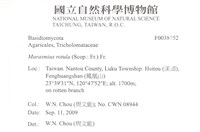 登錄號:F0038752藏品圖，第2張