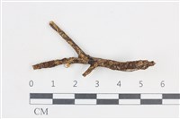 登錄號:F0038752藏品圖，第1張