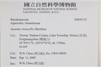 登錄號:F0038753藏品圖，第2張