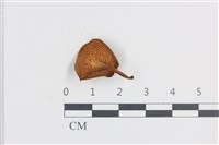 登錄號:F0038754藏品圖，第3張