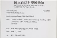 登錄號:F0038755藏品圖，第2張