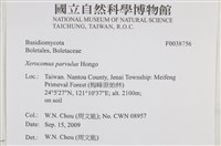 登錄號:F0038756藏品圖，第2張