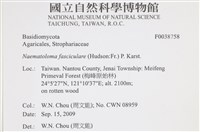 登錄號:F0038758藏品圖，第2張