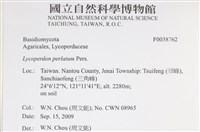 登錄號:F0038762藏品圖，第2張