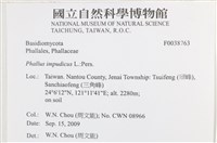 登錄號:F0038763藏品圖，第2張