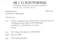 鬼傘屬藏品圖，第2張