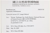 登錄號:F0038768藏品圖，第2張