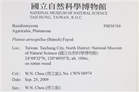 登錄號:F0038769藏品圖，第2張
