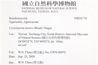 登錄號:F0038770藏品圖，第2張