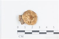 登錄號:F0038770藏品圖，第1張