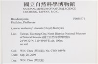 登錄號:F0038771藏品圖，第2張