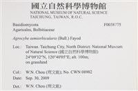 Accession Number:F0038775 Collection Image, Figure 2, Total 2 Figures