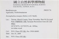 Accession Number:F0038776 Collection Image, Figure 2, Total 3 Figures