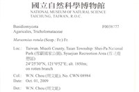 登錄號:F0038777藏品圖，第2張