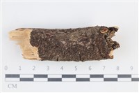 登錄號:F0038777藏品圖，第1張