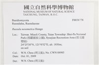 登錄號:F0038778藏品圖，第2張