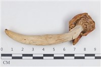 登錄號:F0038778藏品圖，第3張