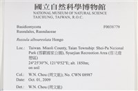 登錄號:F0038779藏品圖，第2張