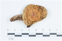 登錄號:F0038779藏品圖，第1張