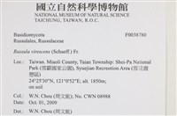 登錄號:F0038780藏品圖，第2張