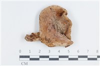 登錄號:F0038780藏品圖，第1張