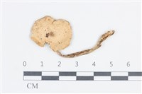 登錄號:F0038782藏品圖，第1張