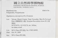 Accession Number:F0038784 Collection Image, Figure 2, Total 3 Figures