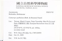 登錄號:F0038785藏品圖，第2張