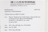 登錄號:F0038786藏品圖，第2張