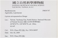 登錄號:F0038787藏品圖，第2張