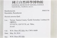 登錄號:F0038788藏品圖，第2張