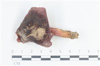 登錄號:F0038788藏品圖，第1張