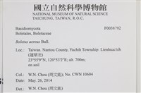 登錄號:F0038792藏品圖，第2張