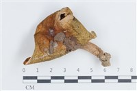 登錄號:F0038793藏品圖，第1張