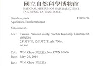 粉褶菌屬藏品圖，第2張