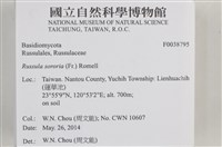 登錄號:F0038795藏品圖，第2張