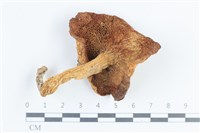 登錄號:F0038797藏品圖，第3張