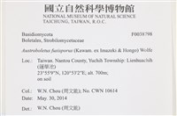 登錄號:F0038798藏品圖，第2張