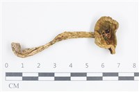 登錄號:F0038798藏品圖，第1張