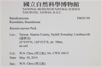 登錄號:F0038799藏品圖，第2張