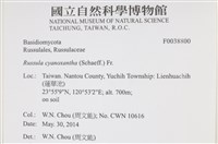 登錄號:F0038800藏品圖，第2張