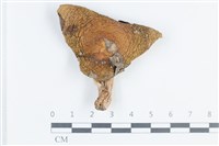 登錄號:F0038800藏品圖，第1張