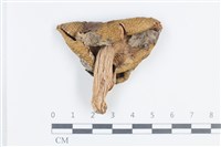 登錄號:F0038800藏品圖，第3張