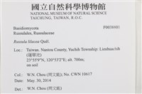 登錄號:F0038801藏品圖，第2張