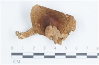 登錄號:F0038801藏品圖，第1張