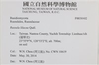 登錄號:F0038802藏品圖，第2張